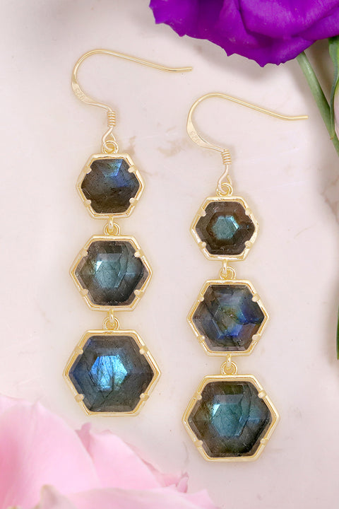 Labradorite Drop Earrings - GF