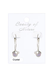 Crystal Sliding Stones Hoop Earrings - SF