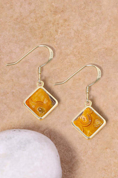 Crazy Lace Agate Rachel Drop Earrings - GF