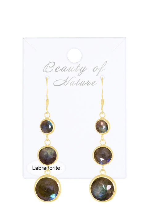 Labradorite Drop Earrings - GF