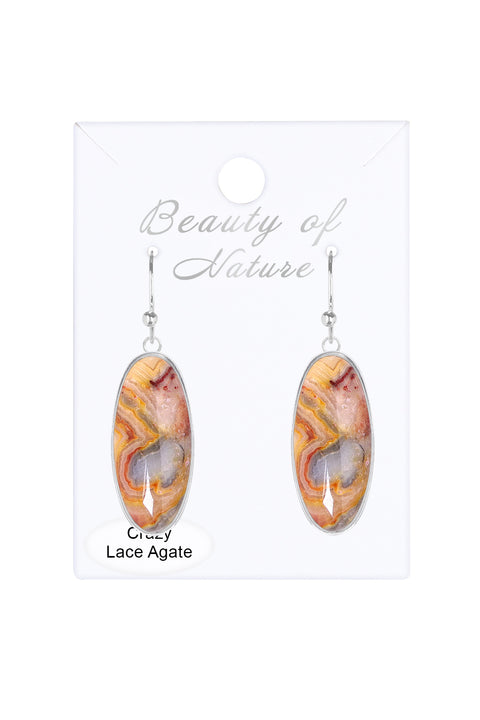 Crazy Lace Agate Oval Drop Earrings - SF